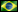 Brazil Basketball